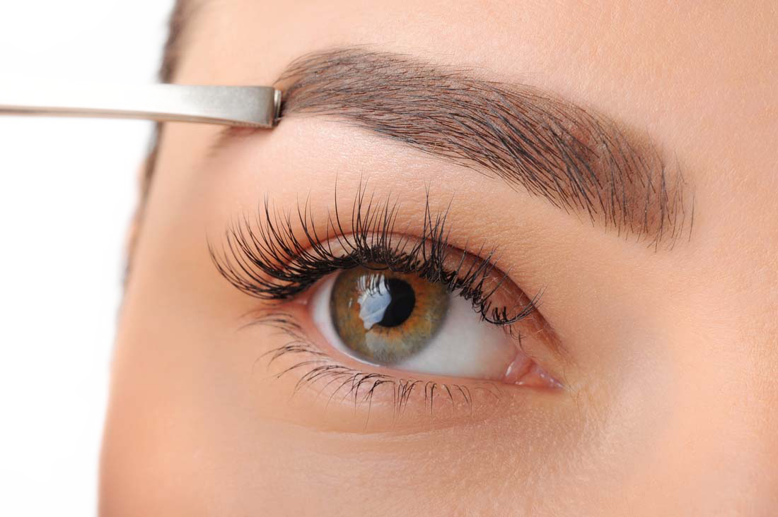 Eyebrow Transplant